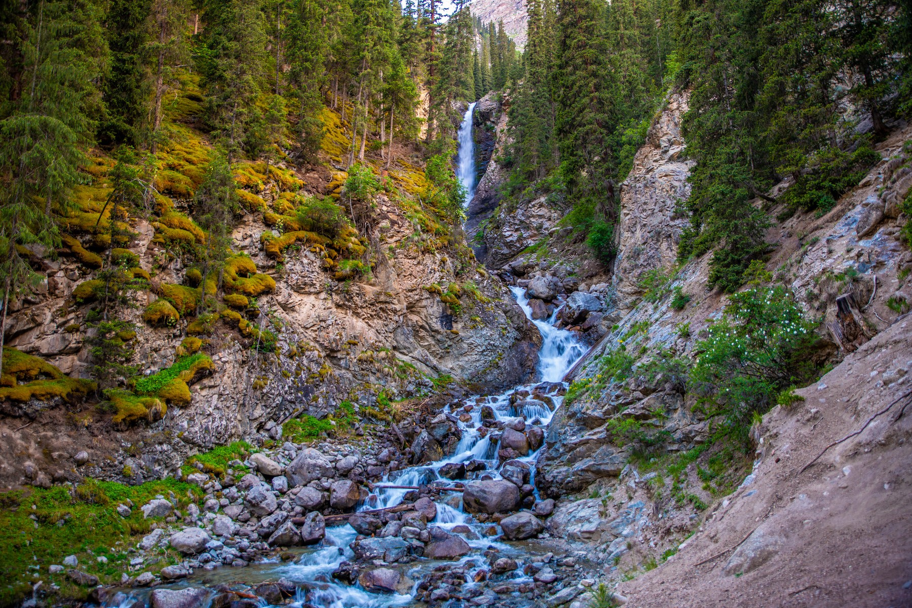 Traditional Kyrgyz yurts surrounded by untouched mountain nature